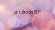 unsuitable是什么意思 unsuitable的中文翻译、读音、例句