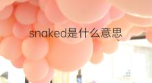 snaked是什么意思 snaked的中文翻译、读音、例句