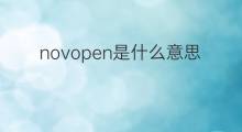 novopen是什么意思 novopen的中文翻译、读音、例句