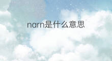 narn是什么意思 narn的中文翻译、读音、例句