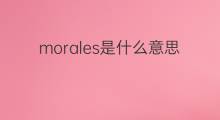 morales是什么意思 morales的中文翻译、读音、例句