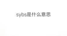 sybs是什么意思 sybs的中文翻译、读音、例句