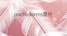 pachyderms是什么意思 pachyderms的中文翻译、读音、例句