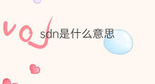 sdn是什么意思 sdn的中文翻译、读音、例句