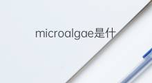 microalgae是什么意思 microalgae的中文翻译、读音、例句