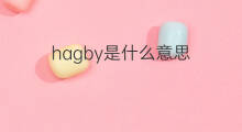 hagby是什么意思 hagby的中文翻译、读音、例句