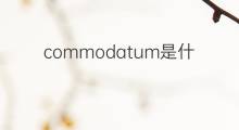 commodatum是什么意思 commodatum的中文翻译、读音、例句