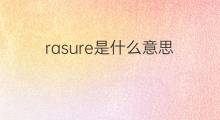 rasure是什么意思 rasure的中文翻译、读音、例句