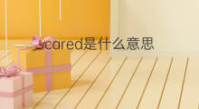 cared是什么意思 cared的中文翻译、读音、例句