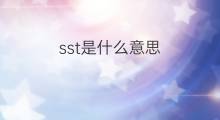sst是什么意思 sst的中文翻译、读音、例句