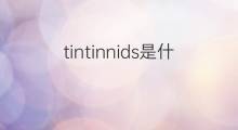 tintinnids是什么意思 tintinnids的中文翻译、读音、例句