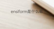 ensiform是什么意思 ensiform的中文翻译、读音、例句