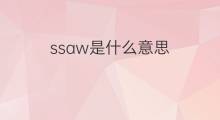 ssaw是什么意思 ssaw的中文翻译、读音、例句