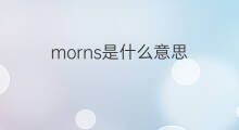 morns是什么意思 morns的中文翻译、读音、例句