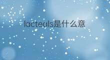 lacteals是什么意思 lacteals的中文翻译、读音、例句