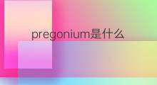pregonium是什么意思 pregonium的中文翻译、读音、例句