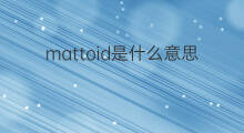mattoid是什么意思 mattoid的中文翻译、读音、例句