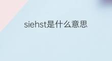 siehst是什么意思 siehst的中文翻译、读音、例句