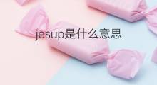jesup是什么意思 jesup的中文翻译、读音、例句