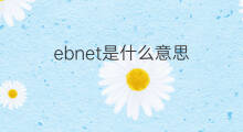 ebnet是什么意思 ebnet的中文翻译、读音、例句