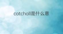 catchall是什么意思 catchall的中文翻译、读音、例句