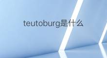 teutoburg是什么意思 teutoburg的中文翻译、读音、例句