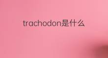 trachodon是什么意思 trachodon的中文翻译、读音、例句
