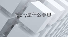 gory是什么意思 gory的中文翻译、读音、例句