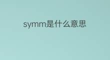 symm是什么意思 symm的中文翻译、读音、例句