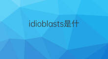 idioblasts是什么意思 idioblasts的中文翻译、读音、例句