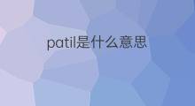 patil是什么意思 patil的中文翻译、读音、例句