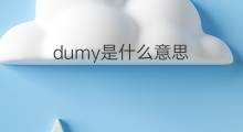 dumy是什么意思 dumy的中文翻译、读音、例句