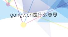 gangwon是什么意思 gangwon的中文翻译、读音、例句