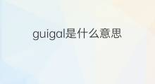 guigal是什么意思 guigal的中文翻译、读音、例句