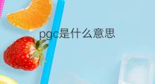 pgc是什么意思 pgc的中文翻译、读音、例句