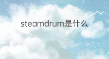 steamdrum是什么意思 steamdrum的中文翻译、读音、例句