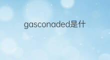 gasconaded是什么意思 gasconaded的中文翻译、读音、例句