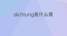 dichtung是什么意思 dichtung的中文翻译、读音、例句