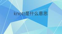 knott是什么意思 knott的中文翻译、读音、例句