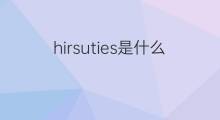 hirsuties是什么意思 hirsuties的中文翻译、读音、例句