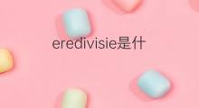 eredivisie是什么意思 eredivisie的中文翻译、读音、例句