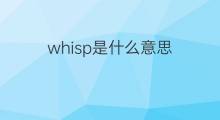 whisp是什么意思 whisp的中文翻译、读音、例句