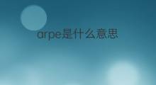 arpe是什么意思 arpe的中文翻译、读音、例句