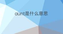 aunt是什么意思 aunt的中文翻译、读音、例句