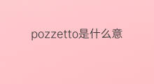 pozzetto是什么意思 pozzetto的中文翻译、读音、例句