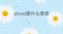 stood是什么意思 stood的中文翻译、读音、例句
