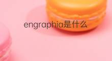 engraphia是什么意思 engraphia的中文翻译、读音、例句