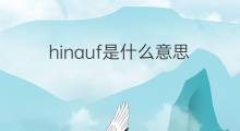 hinauf是什么意思 hinauf的中文翻译、读音、例句