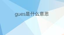 gues是什么意思 gues的中文翻译、读音、例句