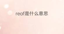 reaf是什么意思 reaf的中文翻译、读音、例句